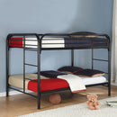 Morgan Bunk Beds