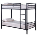 Hayward Bunk Beds