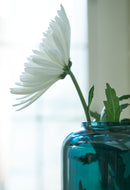 Inisland Vase Set (Set of 2)