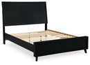 Danziar Queen Panel Bed (Bed Size: Queen)