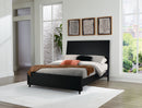 Danziar Queen Panel Bed (Bed Size: Queen)