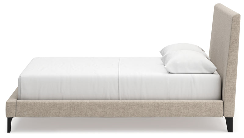 Cielden Queen Upholstered Bed with Roll Slats (Bed Size: Queen)