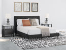 Cadmori Queen Upholstered Bed with Roll Slats (Bed Size: Queen)