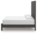 Fraluna Queen Panel Bed (Bed Size: King)