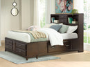 Vanmore Queen Storage Bed (Bed Size: Queen)