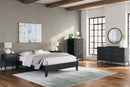 Socalle Queen Platform Bed (Bed Size: Queen)