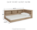 Oliah Twin Bookcase Storage Bed (Bed Size: Twin)