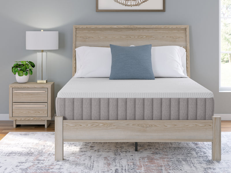 Terra Sleep Firm California King Mattress