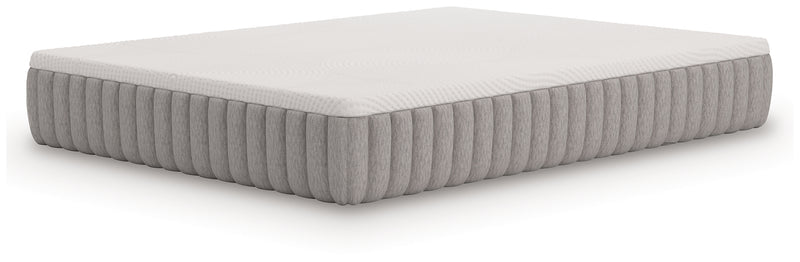 Terra Sleep Medium California King Mattress