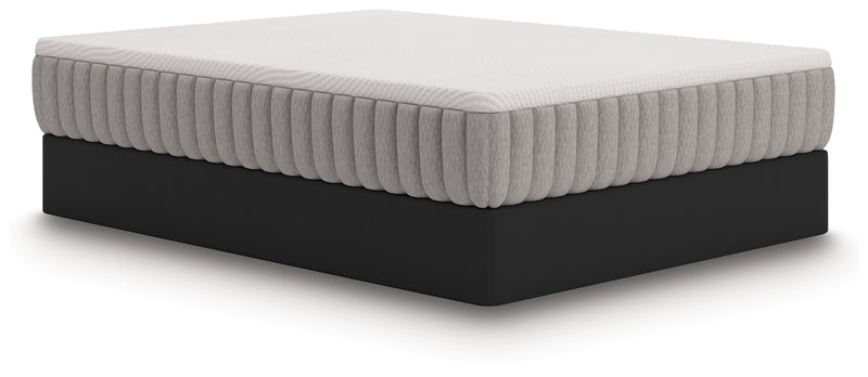 Terra Sleep Medium King Mattress