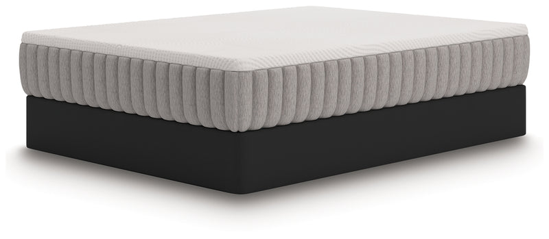 Terra Sleep Medium California King Mattress