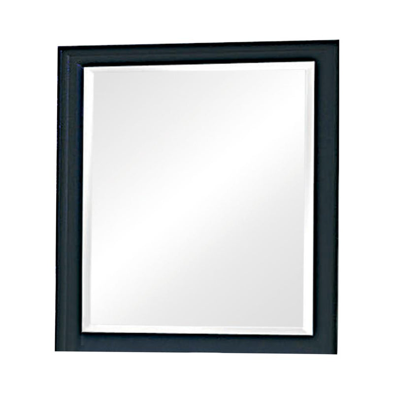 Sandy Beach Black Dresser Mirror image